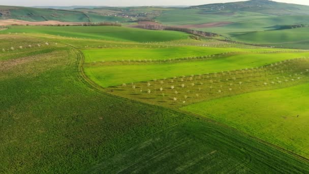봄철에 농지가 놀라운 물결치는 언덕들을 공중에서 내려다본 것이다 모라비아 공화국 — 비디오
