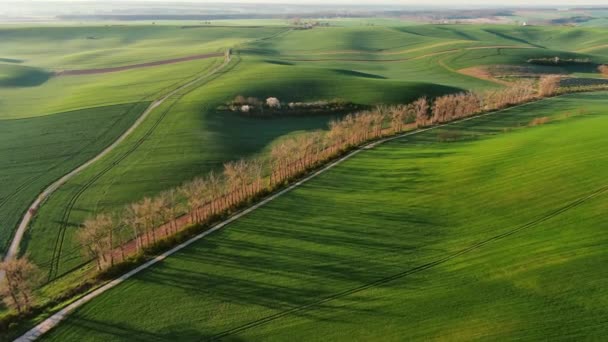 Vista Aérea Incríveis Colinas Onduladas Verdes Com Campos Agrícolas Primavera — Vídeo de Stock