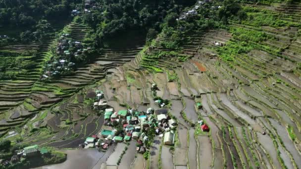 Vista Aérea Torno Pitoresca Batad Rice Terraces Província Ifugao Ilha — Vídeo de Stock