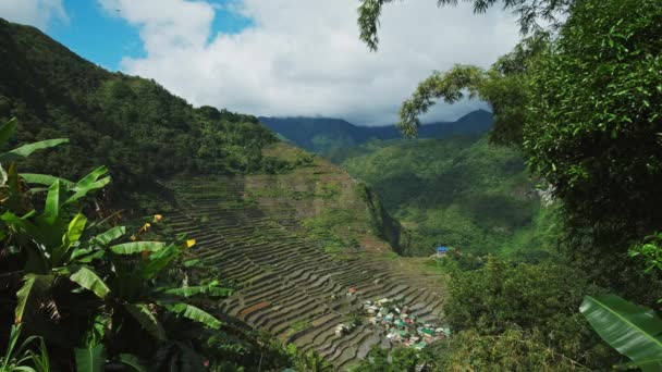 Malerische Batad Reisterrassen Der Provinz Ifugao Insel Luzon Philippinen — Stockvideo