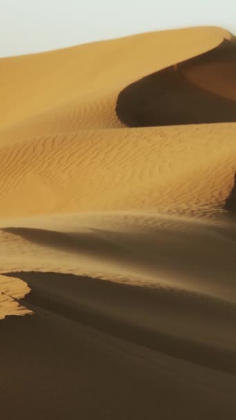 Kum Tepecikleri Rüzgarda Savruluyor Sahra Çölü Dikey Video — Stok video