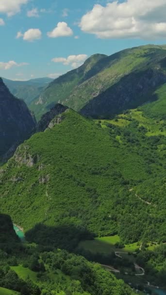 Kuzey Karadağ Daki Tara Nehri Derin Kanyonu Orman Dağının Havadan — Stok video