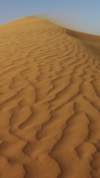 Sand Som Blåser Över Sanddyner Vinden Saharaöknen Vertikal Video — Stockvideo
