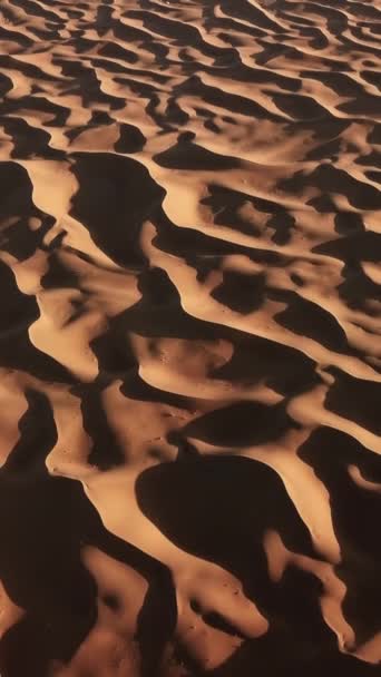 Sahra Çölü Afrika Daki Kum Tepelerinin Havadan Görünüşü Dikey Video — Stok video