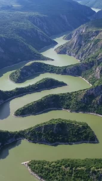 Vista Aérea Meandros Desfiladero Rocoso Del Río Uvac Día Soleado — Vídeo de stock
