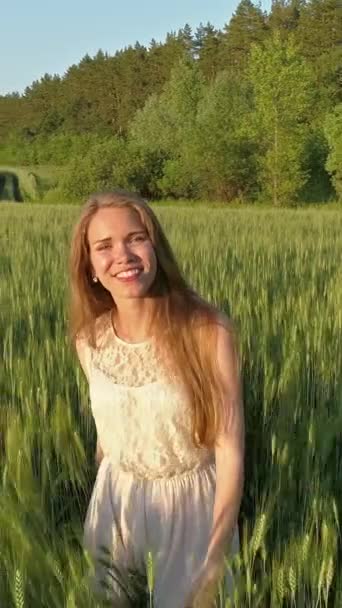 Gadis Cantik Berjalan Ladang Gandum Saat Matahari Terbenam Pemandangan Udara — Stok Video