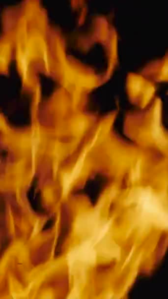Hoří Oheň Tmavém Pozadí Plamen Zpomaluje Svislé Video — Stock video