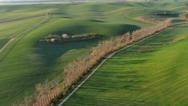 Vista Aérea Increíbles Colinas Verdes Onduladas Con Campos Agrícolas Primavera — Vídeo de stock