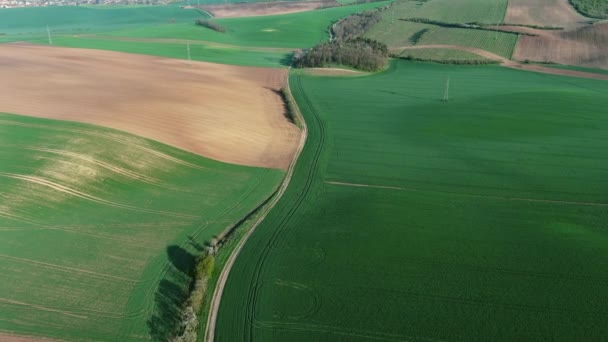 Vista Aérea Incríveis Colinas Onduladas Verdes Com Campos Agrícolas Primavera — Vídeo de Stock