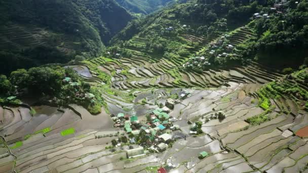 Luchtfoto Rond Zicht Pittoreske Batad Rice Terraces Provincie Ifugao Luzon — Stockvideo