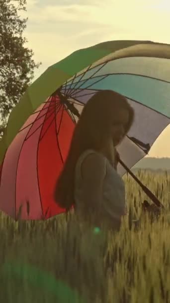 Linda Chica Con Paraguas Multicolor Caminando Campo Trigo Atardecer Vídeo — Vídeos de Stock