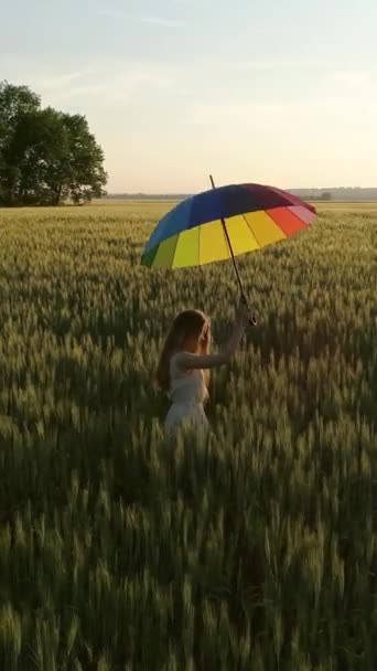 다채로운 우산을 귀여운 소녀는 일몰에 밀밭에서 주위를 비디오 — 비디오