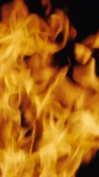 Hoří Oheň Tmavém Pozadí Plamen Zpomaluje Svislé Video — Stock video