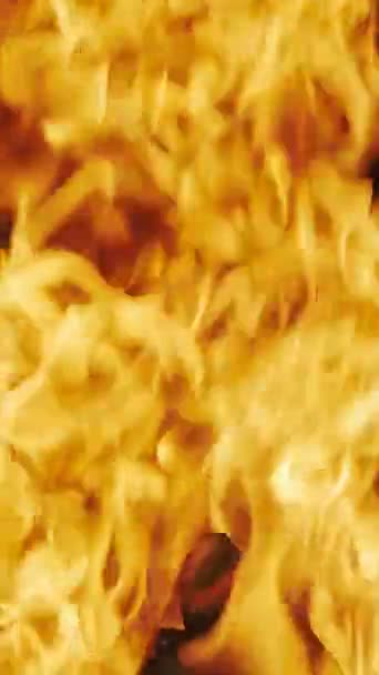 Brennendes Feuer Brennholzkohle Und Flammennahaufnahme Kamin Zeitlupe Vertikales Video — Stockvideo