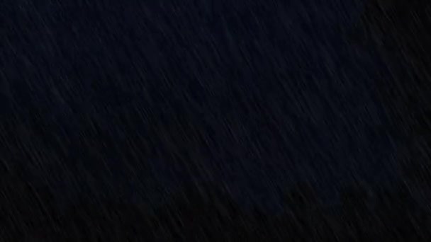 夜雨和伟大的拉链 大河附近的暴雨景观 — 图库视频影像