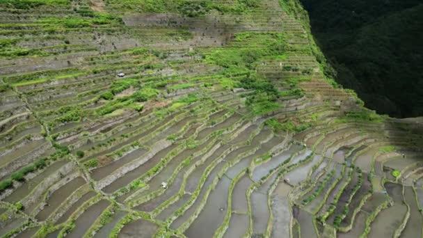 Vista Aerea Delle Pittoresche Terrazze Riso Batad Nella Provincia Ifugao — Video Stock