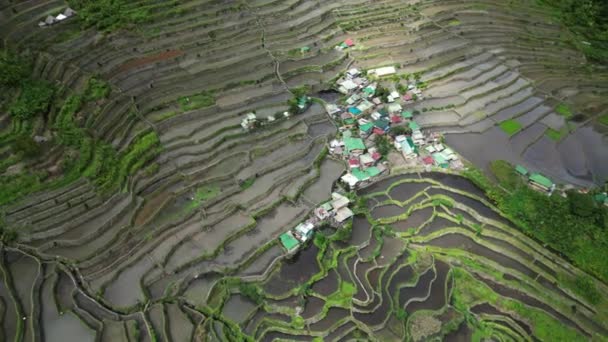 Luftaufnahme Der Malerischen Batad Reisterrassen Der Provinz Ifugao Insel Luzon — Stockvideo