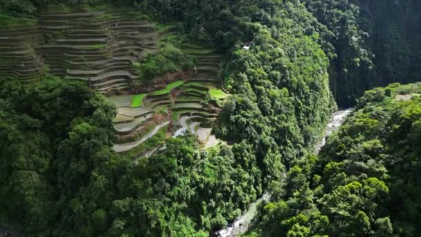 Vista Aérea Las Pintorescas Terrazas Arroz Batad Provincia Ifugao Isla — Vídeos de Stock