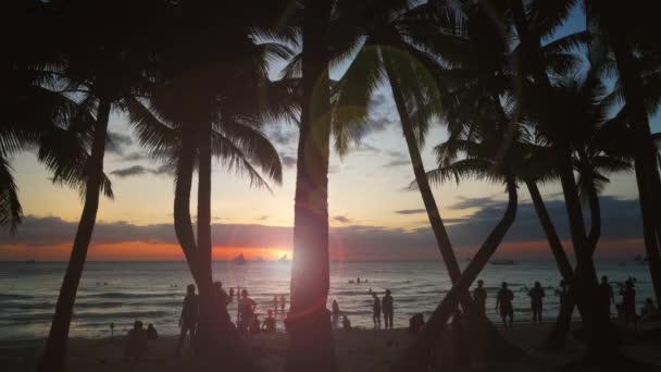 Silhouetted Ανθρώπους Και Παλάμες Κοντά Στη Θάλασσα Ηλιοβασίλεμα Στην Τροπική — Αρχείο Βίντεο