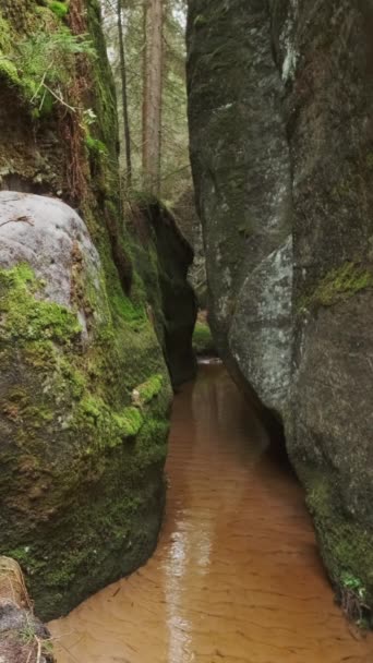 Teplice Rocks Parte Parque Montanha Adrspach Teplice Região Das Terras — Vídeo de Stock