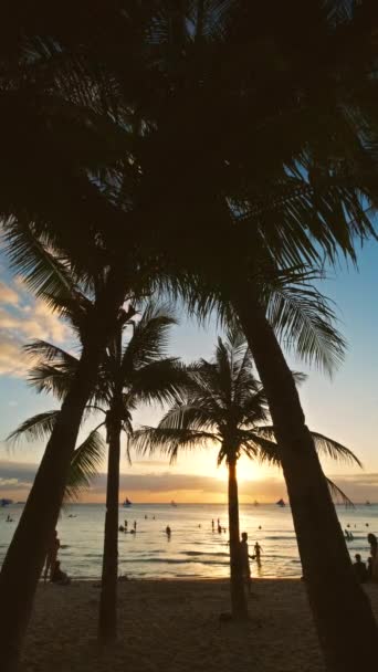 Silhouetted Ludzie Palmy Pobliżu Morza Zachód Słońca Tropikalnej Białej Plaży — Wideo stockowe