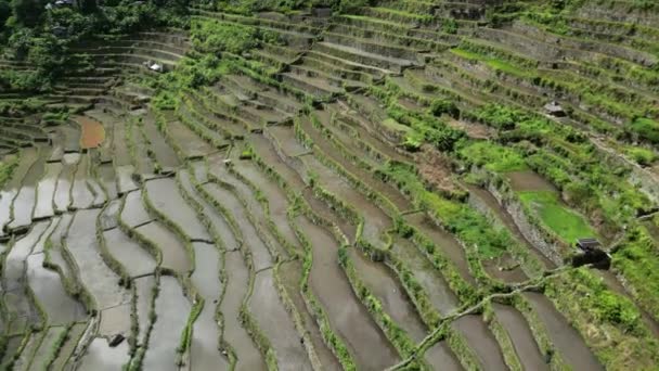Αεροφωτογραφία Του Γραφικού Batad Rice Terraces Στην Επαρχία Ifugao Νήσος — Αρχείο Βίντεο