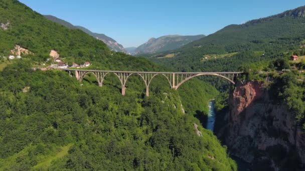 Αεροφωτογραφία Στην Αψίδα Της Djurdjevica Πάνω Από Τον Ποταμό Tara — Αρχείο Βίντεο