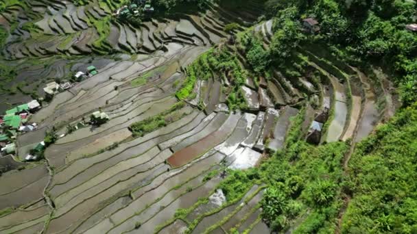 Flygfoto Över Pittoreska Batad Rice Terrasser Med Sol Reflektion Ifugao — Stockvideo