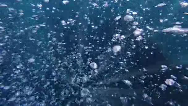 Пузырьки Воздуха Солнечные Лучи Водой Замедленная Съемка — стоковое видео