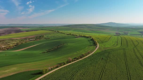 Vue Aérienne Des Collines Ondulées Vertes Étonnantes Avec Des Champs — Video