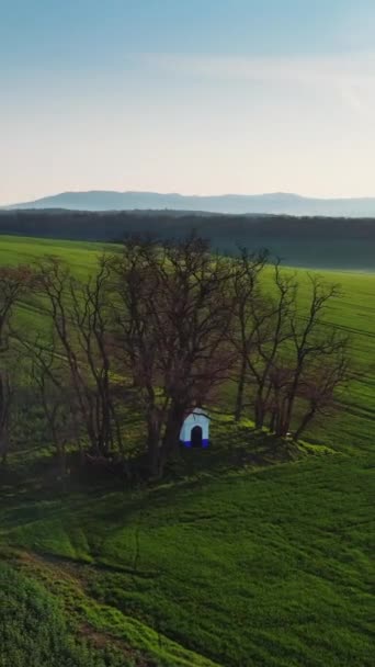 Moravya Çek Cumhuriyeti Nde Bahar Zamanı Güney Moravya Tepelerindeki Chapel — Stok video