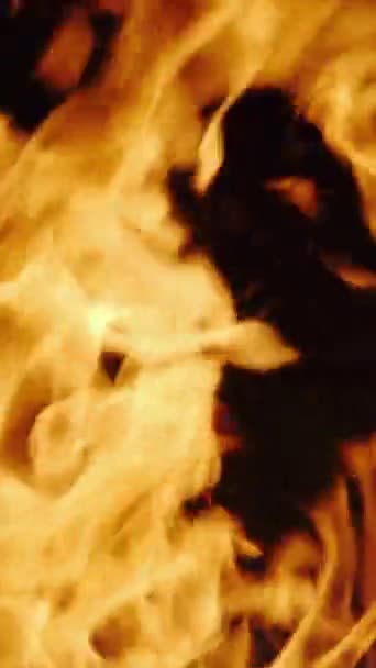 Hořící Oheň Tmavém Pozadí Plamen Detailní Záběr Zpomalený Pohyb Vertikální — Stock video
