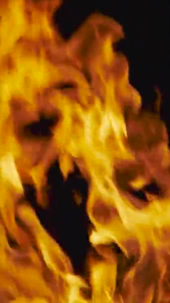 暗い背景で燃える火 炎の閉じる遅い動き 縦のビデオ4K — ストック動画