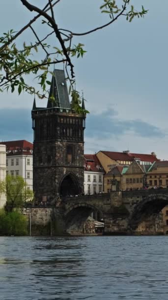布拉格古城查尔斯桥和弗尔塔瓦河普拉哈市的风景 闷热的天气 垂直录像 — 图库视频影像