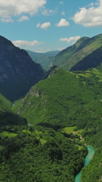 Vista Aérea Del Cañón Profundo Del Río Tara Montaña Forestal — Vídeos de Stock