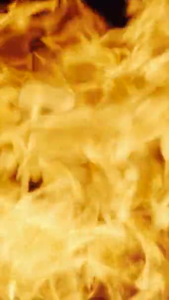 Brennendes Feuer Auf Dunklem Hintergrund Flammennahaufnahme Zeitlupe Vertikales Video — Stockvideo