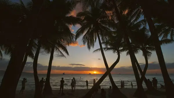 Siluety Lidí Dlaní Moře Západ Slunce Tropické White Beach Boracay — Stock fotografie