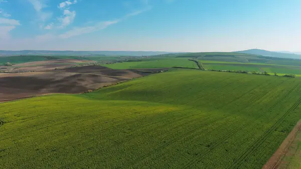Luchtfoto Van Verbazingwekkende Groene Golvende Heuvels Met Landbouwvelden Het Voorjaar Stockafbeelding