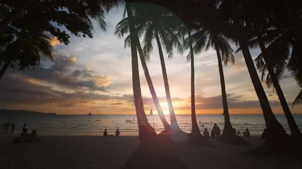 Silhouet Mensen Palmen Buurt Van Zee Zonsondergang Tropisch Wit Strand Stockafbeelding
