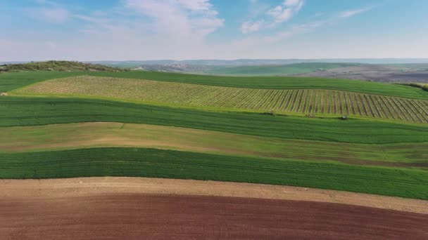 春の農業分野を持つ素晴らしい緑の大きな丘の空中観察 南モラヴィア地域 チェコ共和国 ヨーロッパ パノラマ4K — ストック動画