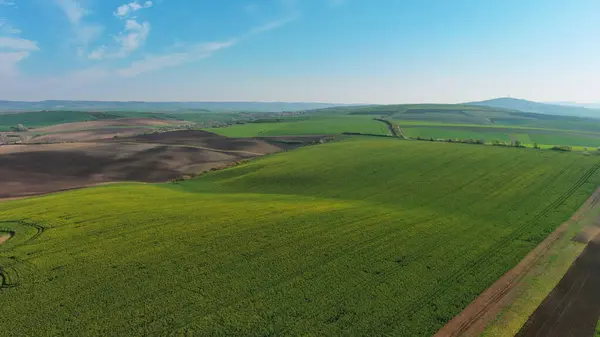在空中俯瞰着令人惊叹的绿色波浪形山丘 春天还有农田 South Moravia Region Czech Republic Europe — 图库照片