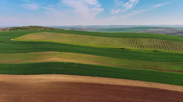 空中俯瞰着美丽的绿色波浪形山丘 还有农田和葡萄园 South Moravia Region Czech Republic Europe — 图库照片