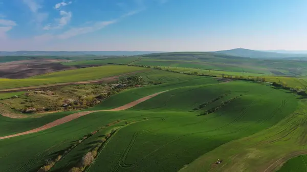 春の農業分野を持つ素晴らしい緑の大きな丘の空中観察 南モラビア地域 チェコ共和国 ヨーロッパ ストックフォト