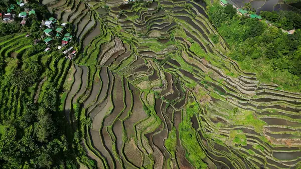 Αεροφωτογραφία Του Γραφικού Batad Rice Terraces Στην Επαρχία Ifugao Νήσος Φωτογραφία Αρχείου