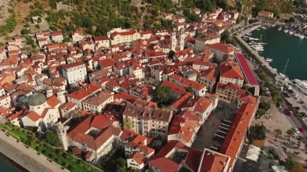 Vista Aérea Ciudad Vieja Kotor Bahía Kotor Boka Kotorska Montenegro — Vídeo de stock