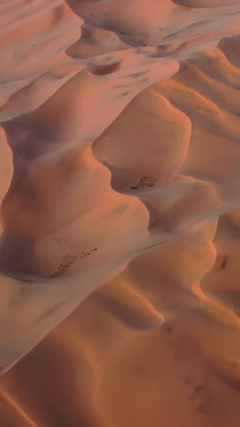 Flygfoto Över Sanddyner Gobiöknen Vid Solnedgången Mongoliet Vertikal Video — Stockvideo