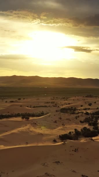 Luchtfoto Van Zandduinen Elsen Tasarhai Bayan Gobi Bij Zonsondergang Mongolië — Stockvideo