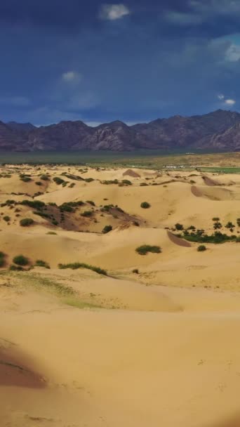 Vista Aérea Das Dunas Areia Elsen Tasarhai Bayan Gobi Mongólia — Vídeo de Stock