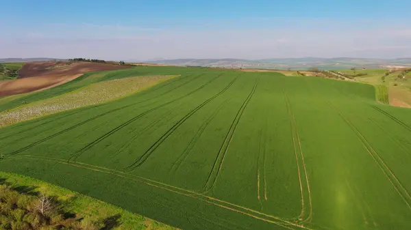 春の農業分野を持つ素晴らしい緑の大きな丘の空中観察 南モラビア地域 チェコ共和国 ヨーロッパ ストック写真
