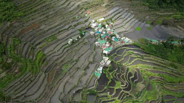 菲律宾吕宋省Ifugao省美丽的Batad水稻梯田的空中景观 图库照片